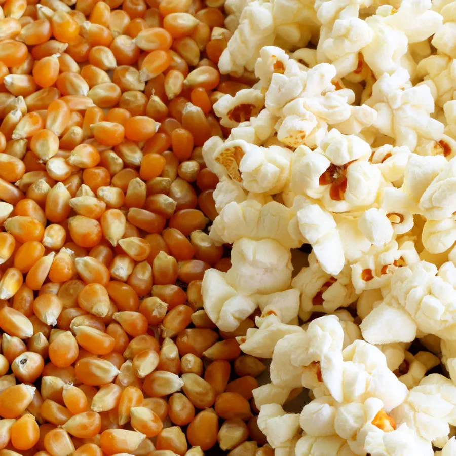 Butterfly Popcorn Kernels 22.7kg