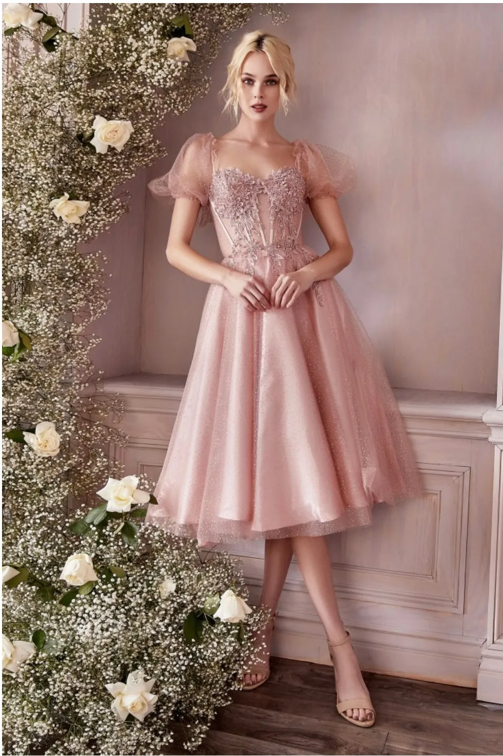 Cinderella Divine CD0187