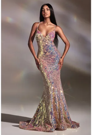 Cinderella Evening Dress CD880