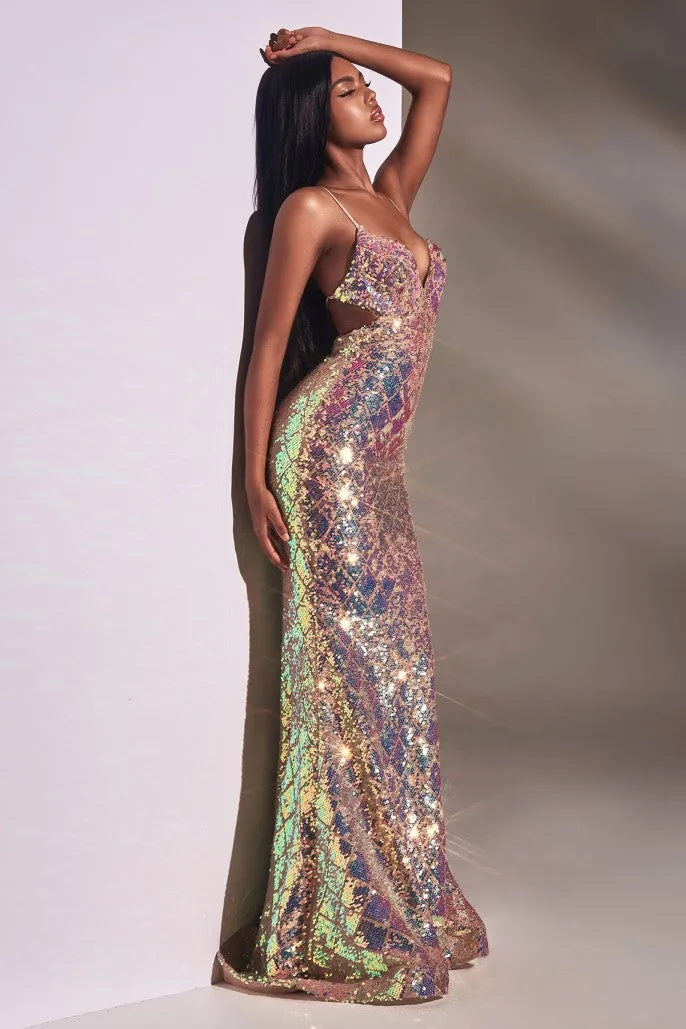 Cinderella Evening Dress CD880