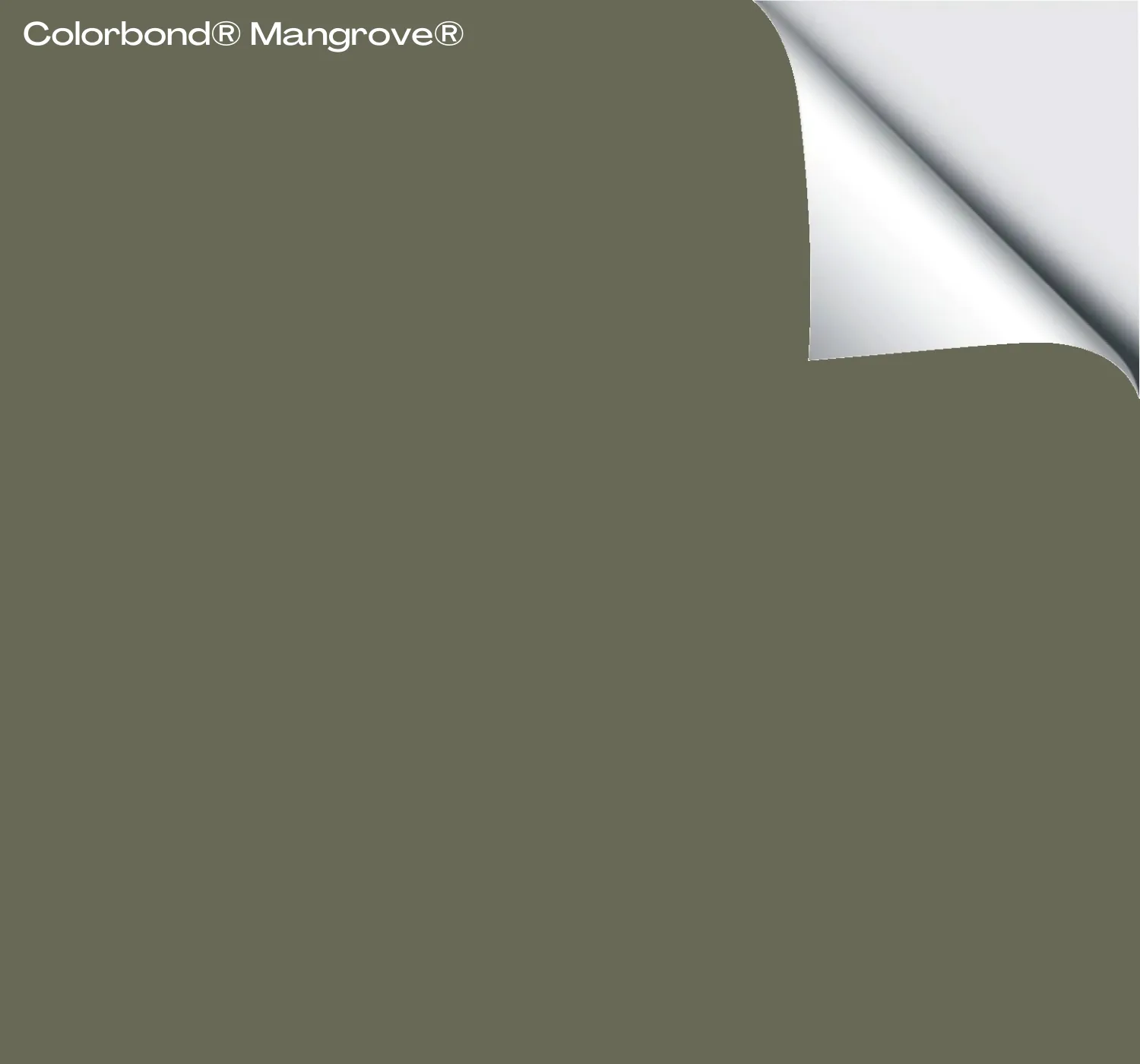 Colorbond® Mangrove®