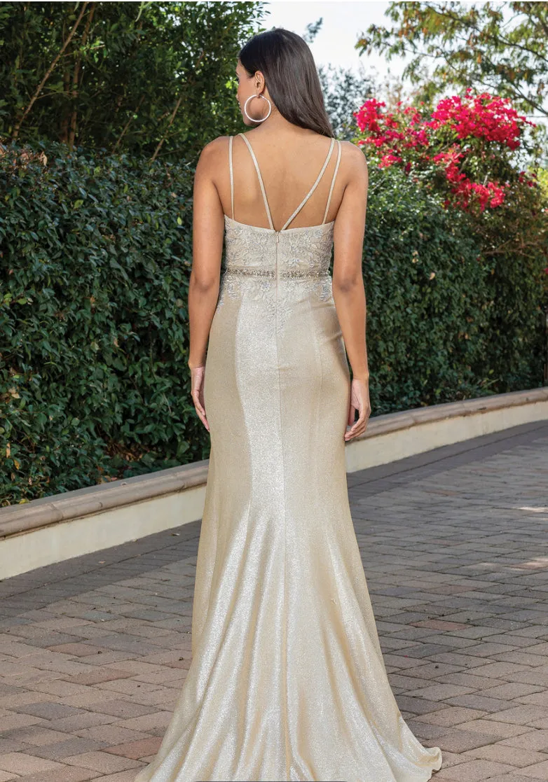 Dancing Queen Evening Gowns 2981