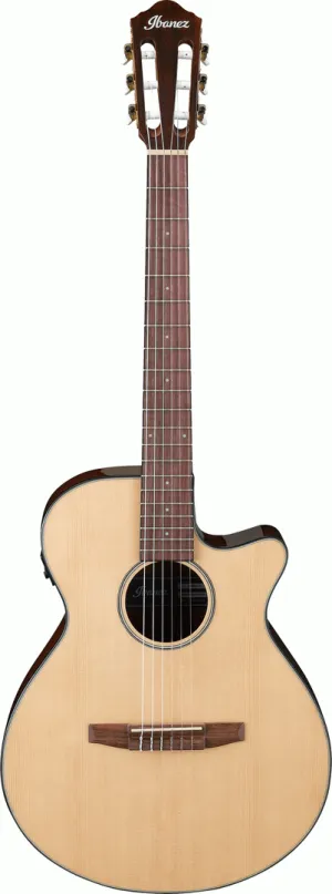 Ibanez AEG50N NT Acoustic Guitar