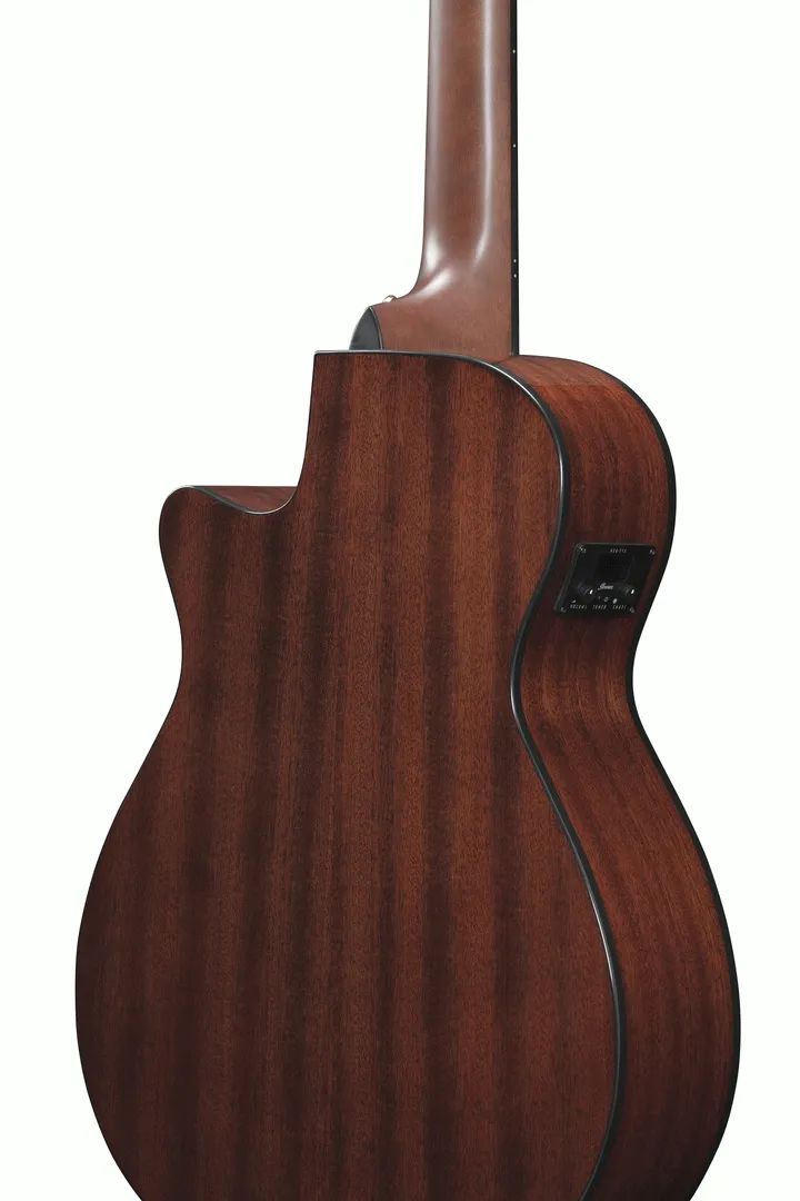 Ibanez AEG50N NT Acoustic Guitar