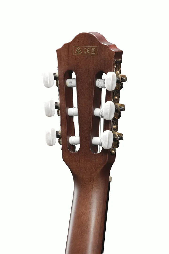 Ibanez AEG50N NT Acoustic Guitar