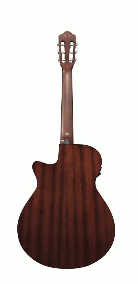 Ibanez AEG50N NT Acoustic Guitar