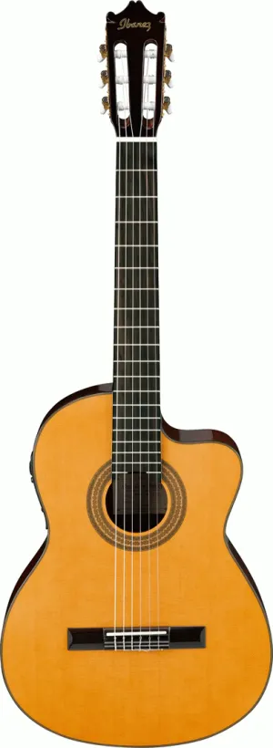 Ibanez GA6CE AM Acoustic Guitar
