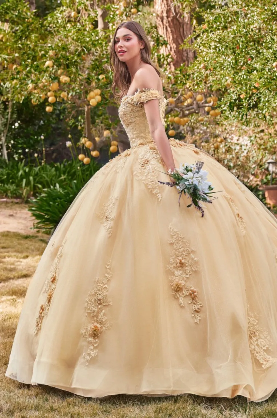 LaDivine by Cinderella Divine 15702 Quinceanera Dress