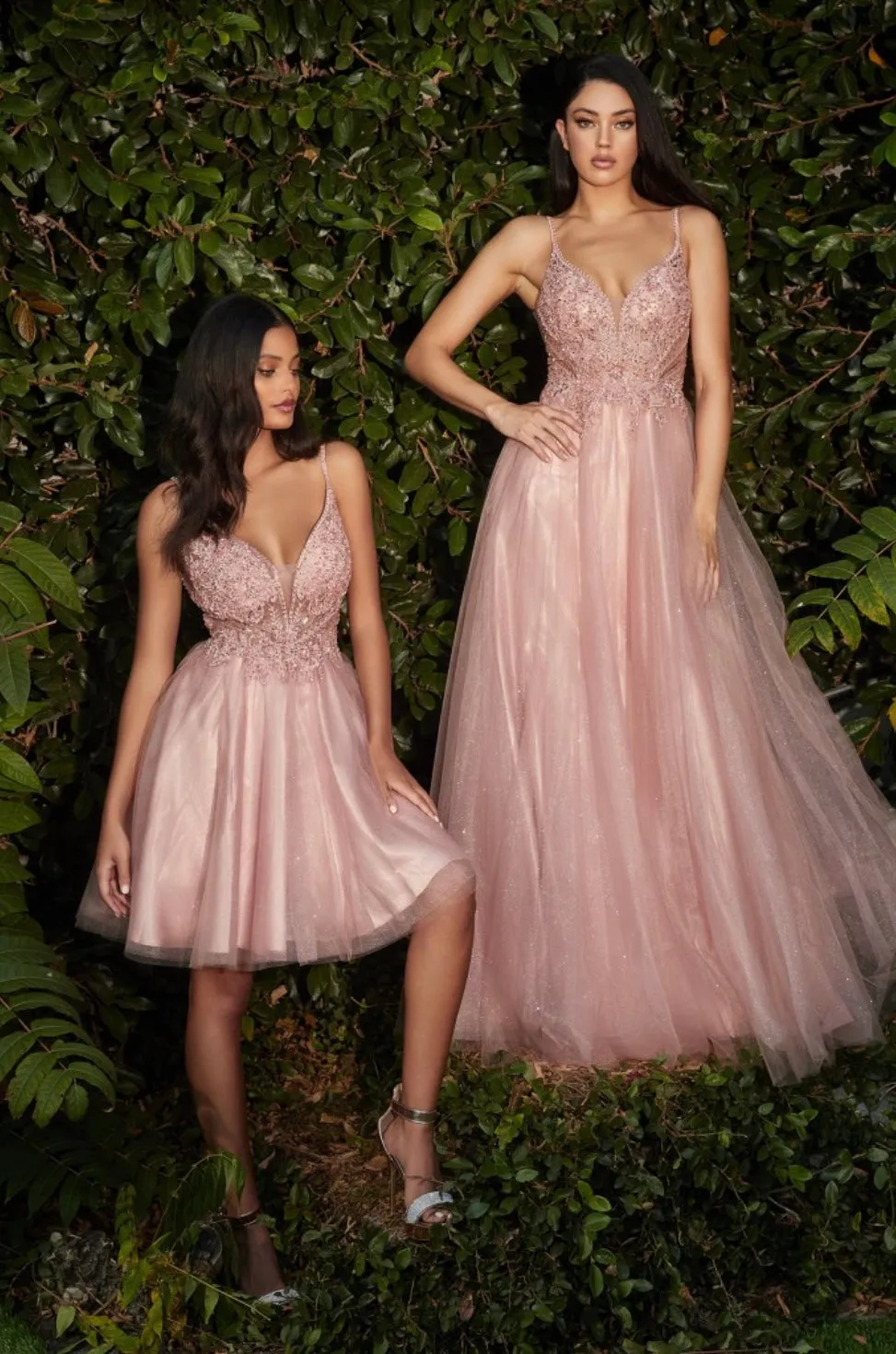 LaDivine by Cinderella Divine CD0195 Evening Gown
