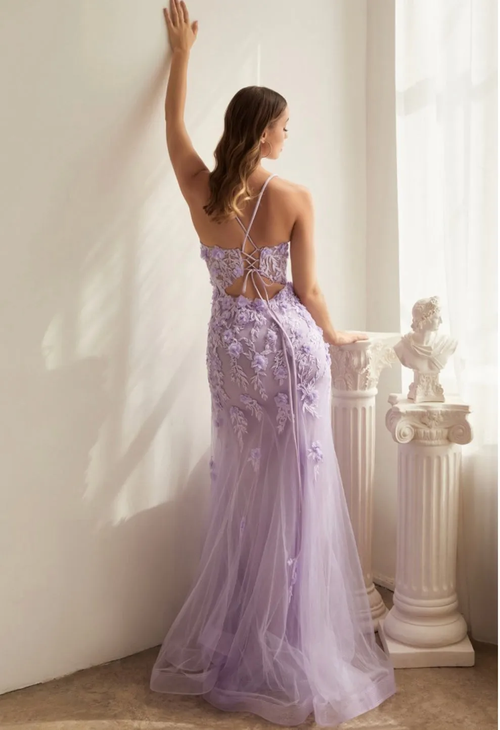 LaDivine by Cinderella Divine CD995 Evening Gown