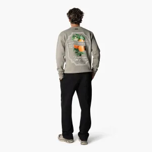 MINEOLA CREWNECK | FADED OLIVE/WHITE