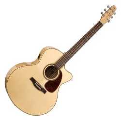 Seagull 032471 / 051960 Performer CW Cutaway Mini Jumbo HG Presys II Acoustic Electric with Carrying Bag MADE In CANADA