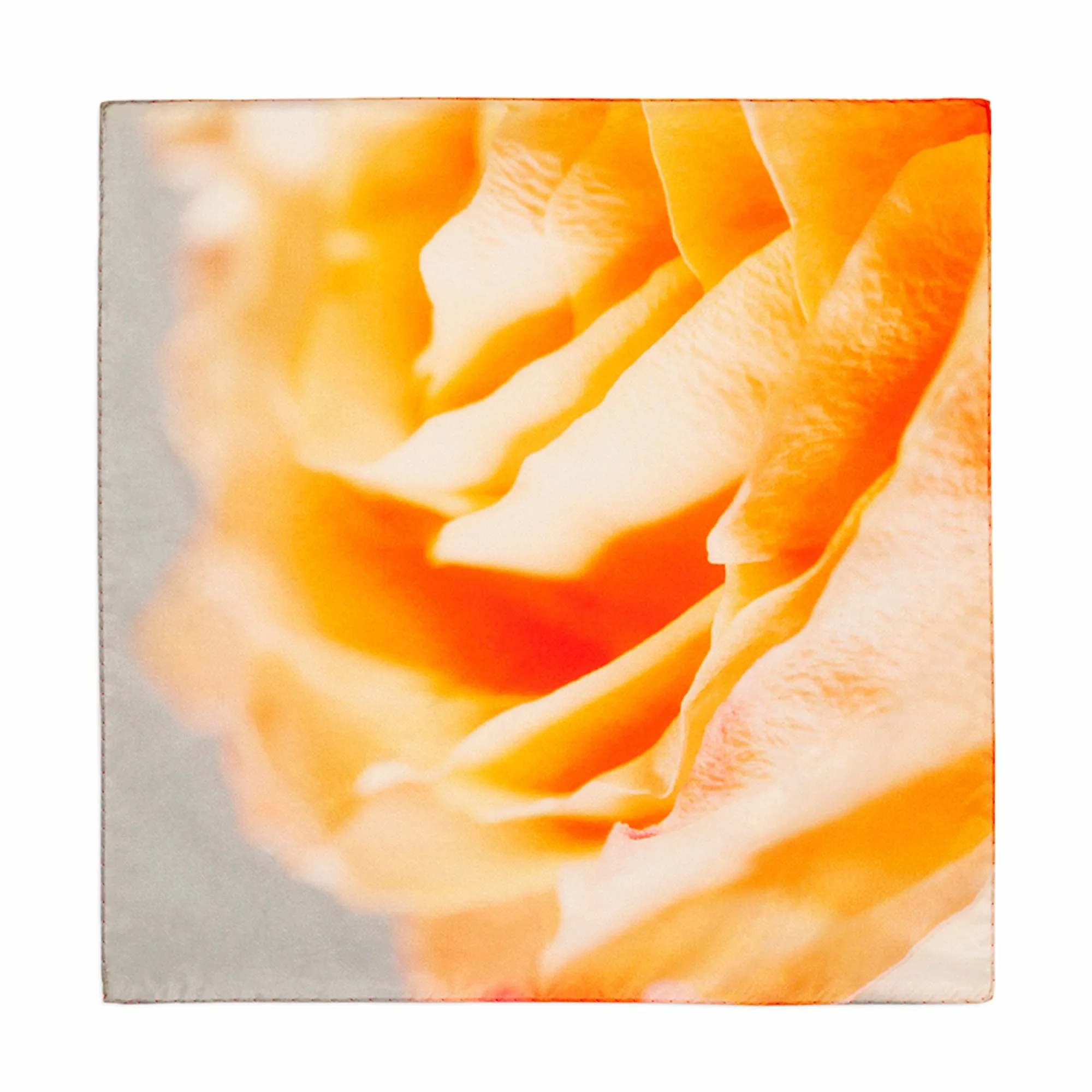 Special Edition Sunset Sphinx Rose Silk Scarf