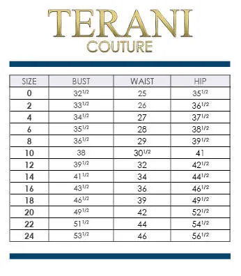 Terani Couture 1721M4703 Dress