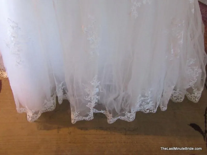 Venus AT4622 (Angel & Tradition by Venus)